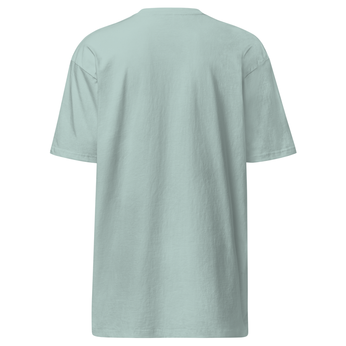 Agave heavyweight tee, plain back view