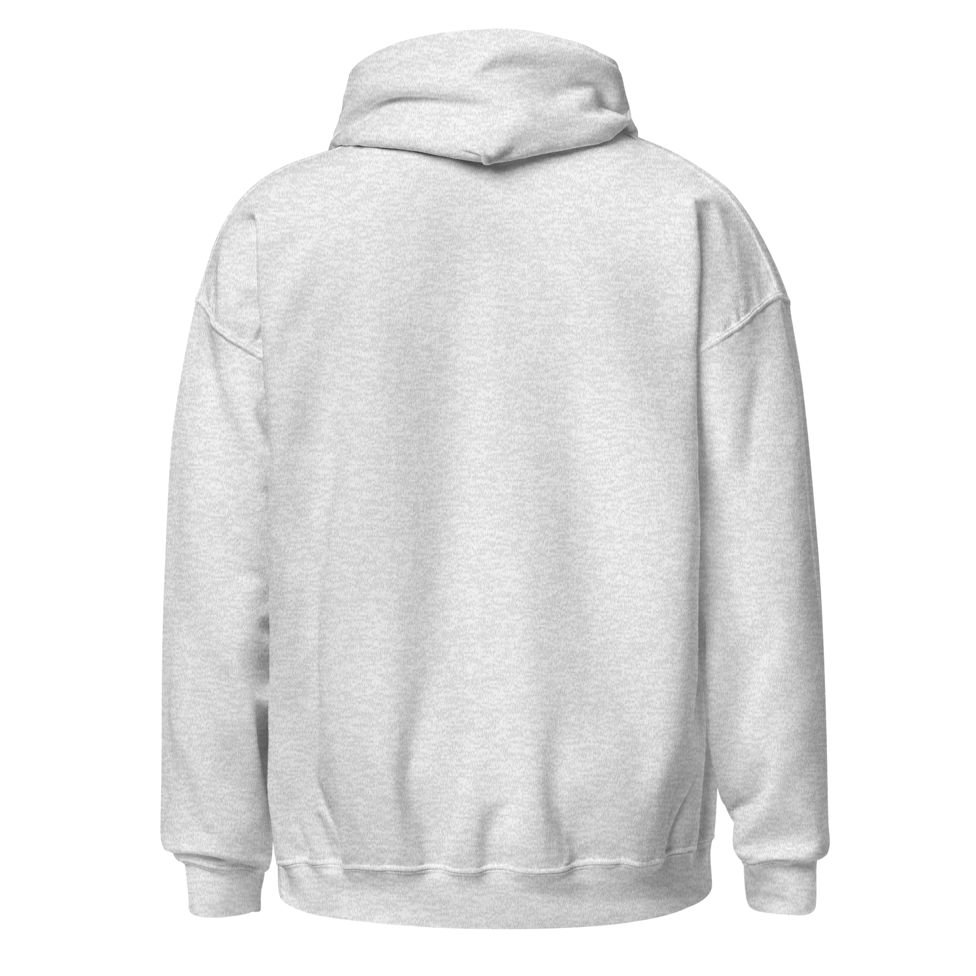 Ash hoodie, plain back view