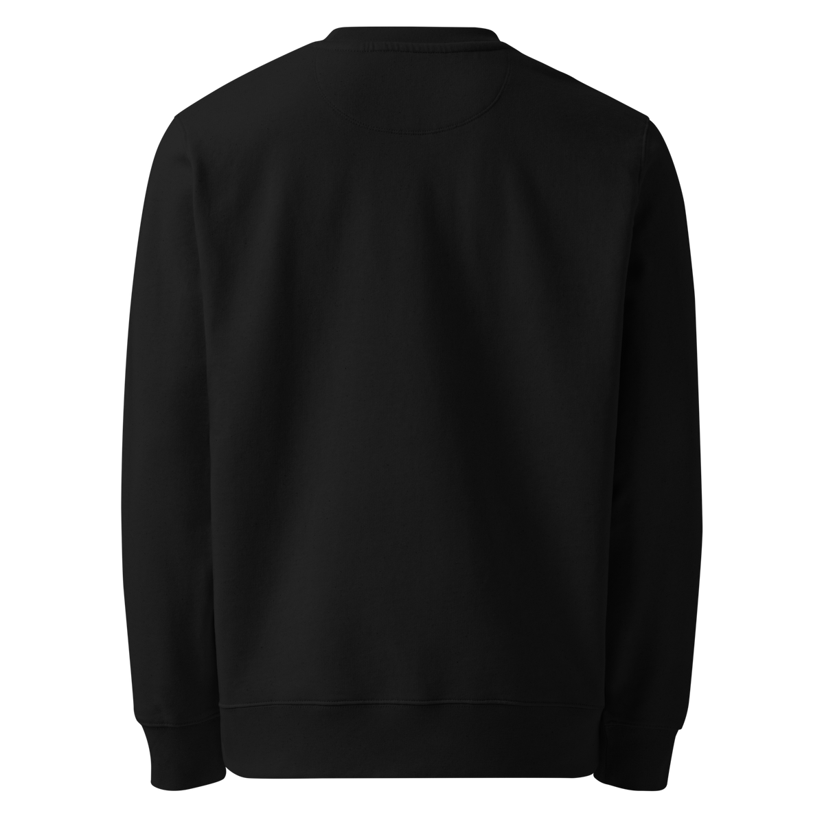 Back view of the black Street Royalty organic cotton sweatshirt, undecorated