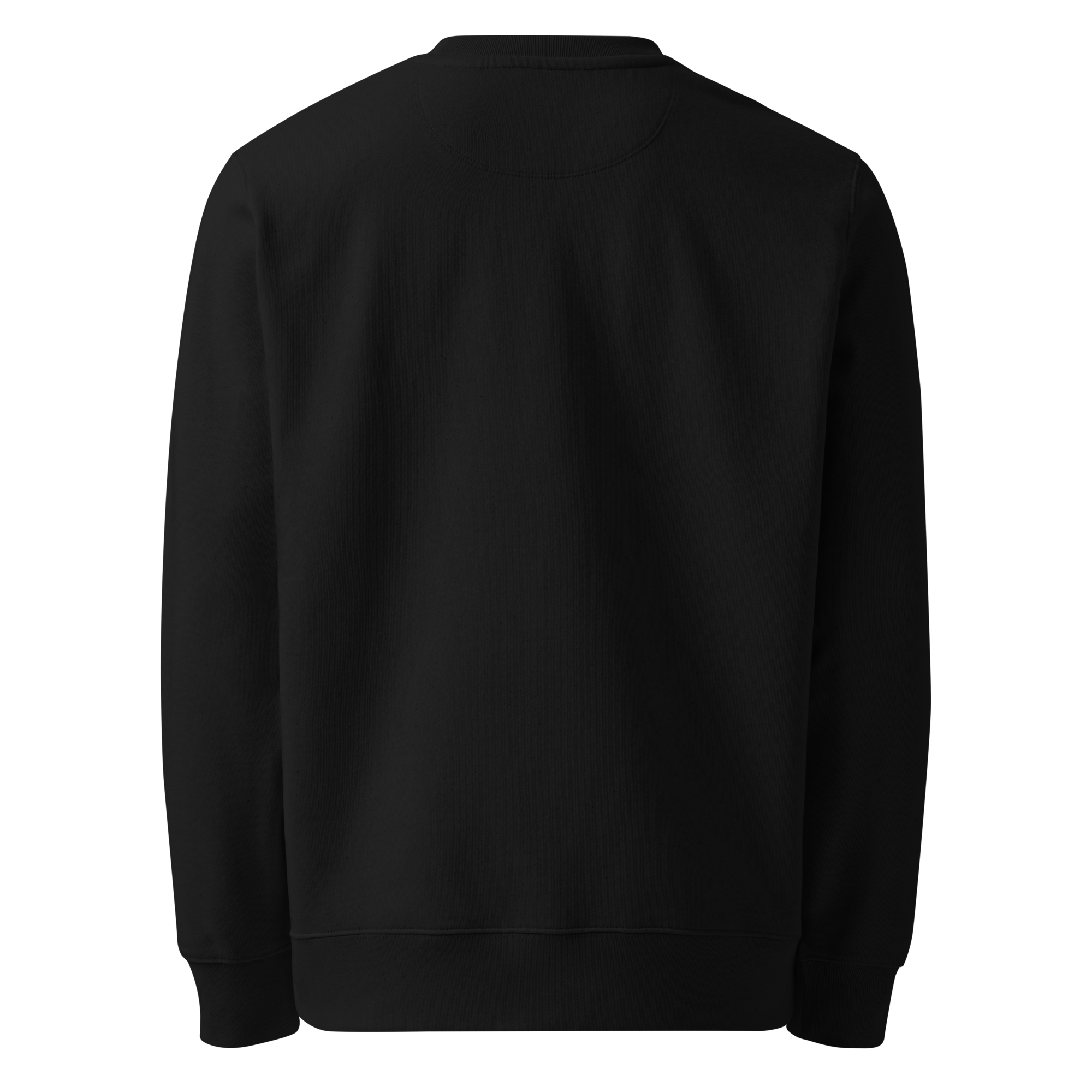Black organic cotton sweatshirt, plain back view